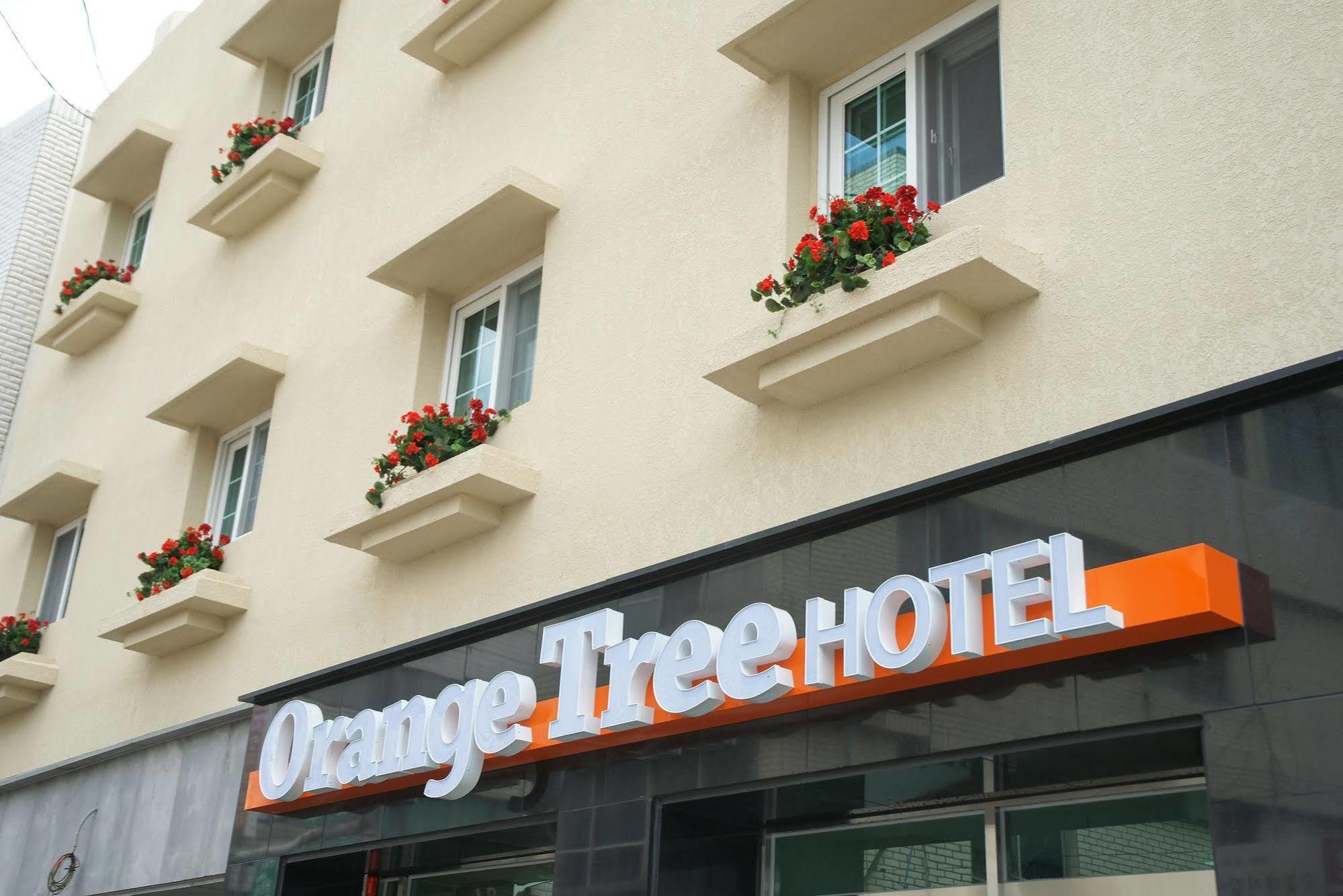 Orange Tree Hotel Jeju Buitenkant foto