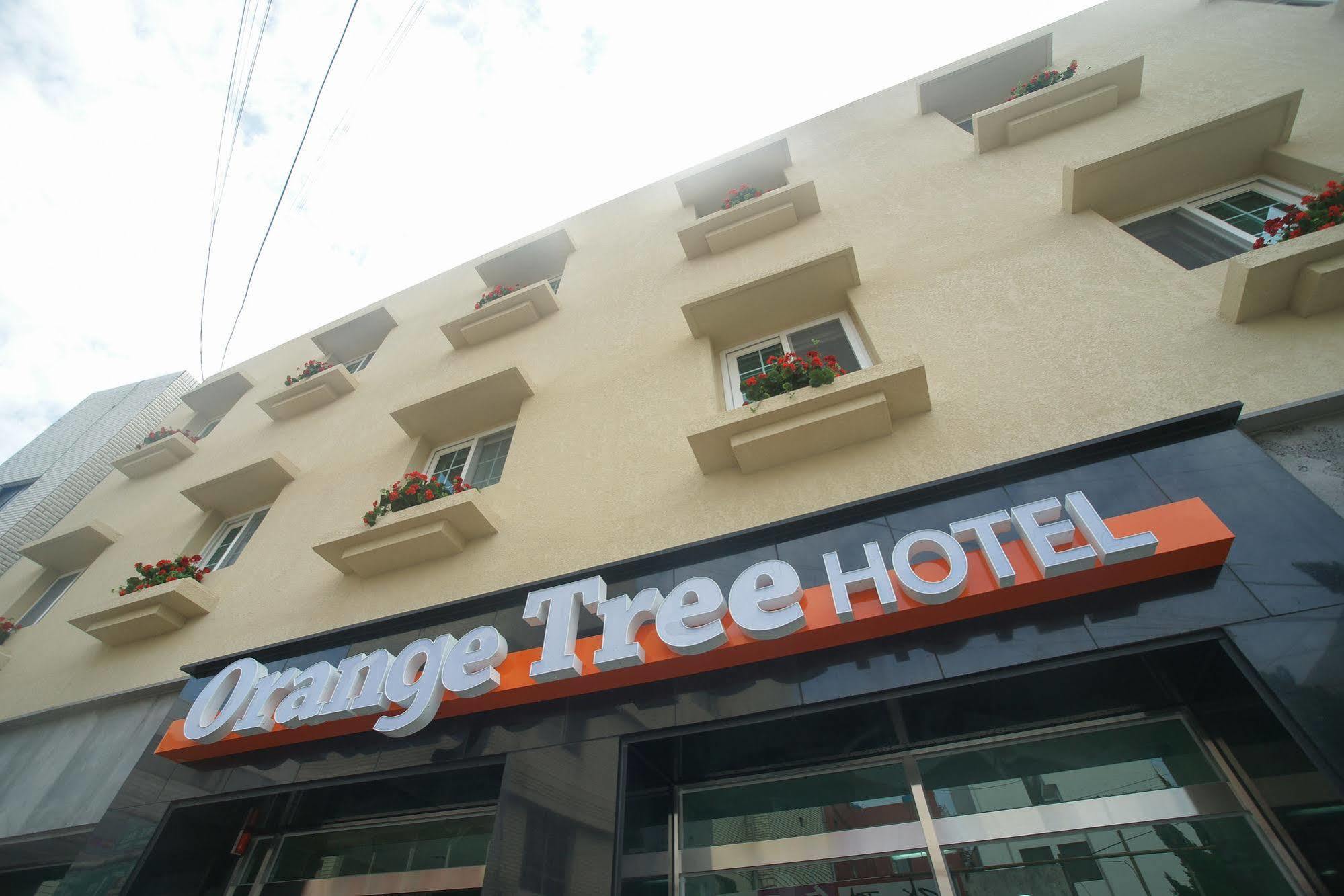 Orange Tree Hotel Jeju Buitenkant foto