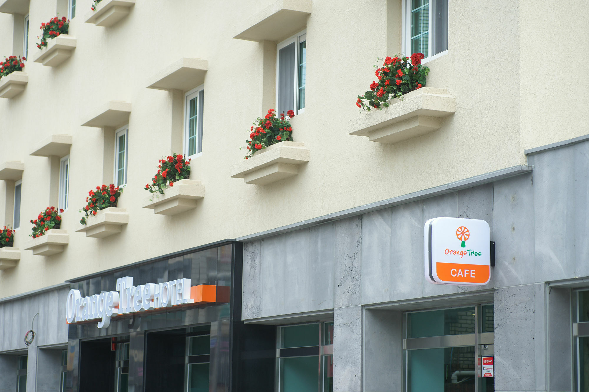 Orange Tree Hotel Jeju Buitenkant foto
